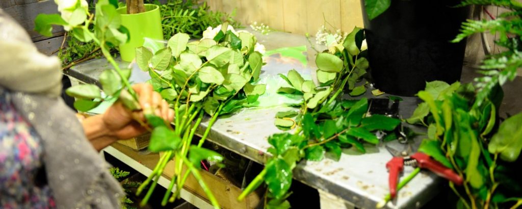 Gouttebroze Fleurs - ACTIF ASTRÉE-